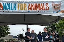 AD78 Ward May News