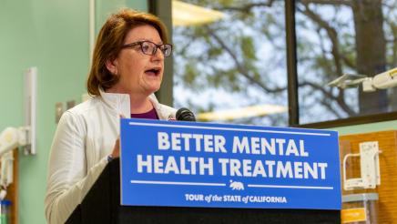 Governor's Mental Health State of the State