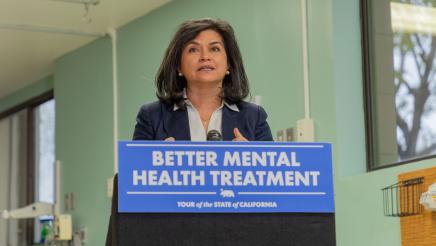 Governor's Mental Health State of the State